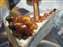 DSCF1120.JPG