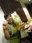 20090801 090.jpg