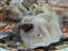 IMG_0796.jpg