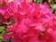 20100204 019.jpg