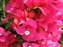 20100204 020.jpg