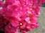 20100204 021.jpg