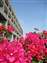 20100204 023.jpg