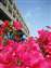 20100204 027.jpg