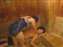 20100213 005.jpg