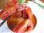20100218 014.jpg