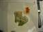 IMG_4624.JPG