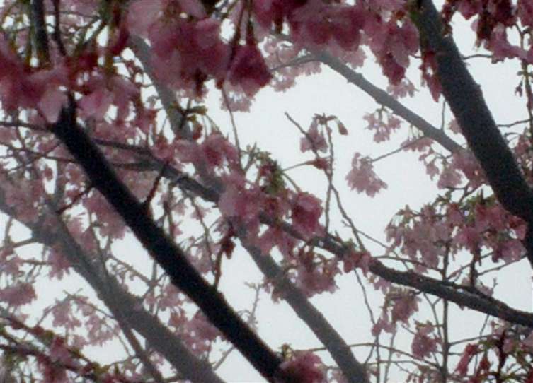 Click to go back