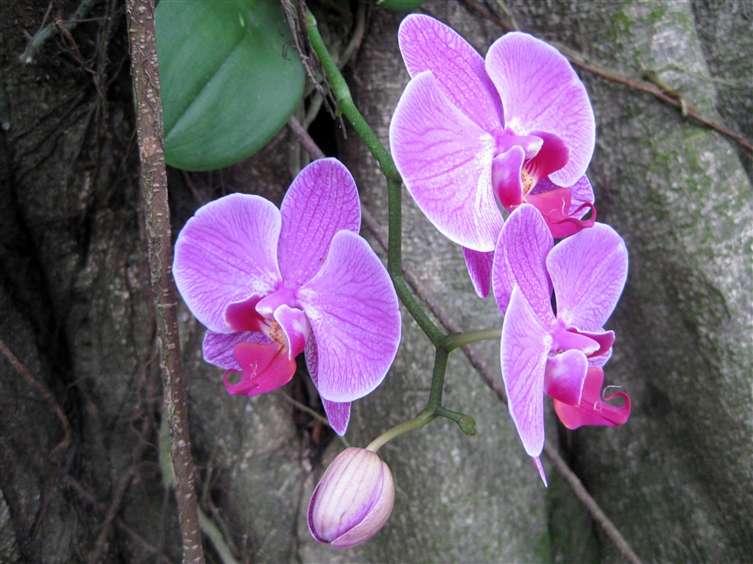 Click to go back
