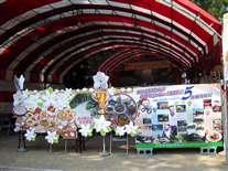 Click for large image