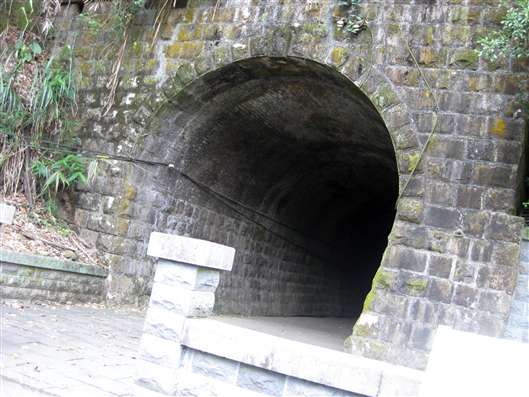 Click for large image