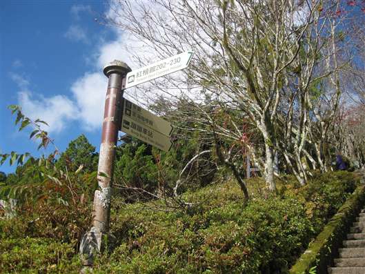 Click for large image