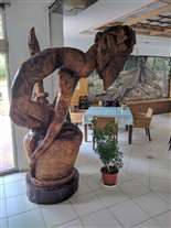 Click for large image