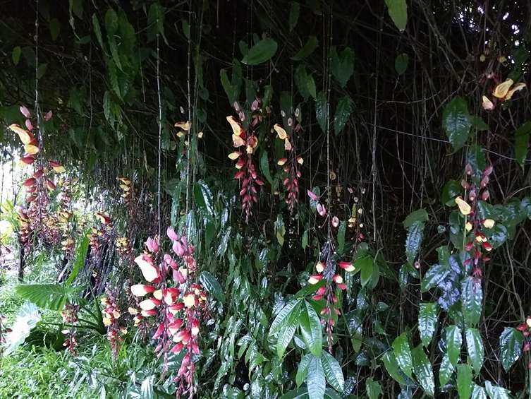 Click to go back