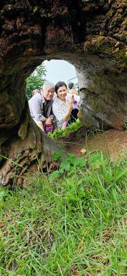 Click to go back