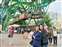 1124-26 萊雅旅遊_191127_0453.jpg