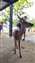IMG_20200801_094714634_MP.jpg