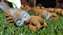 IMG_20200801_101629152_MP.jpg