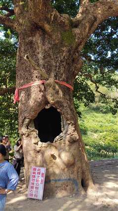 Click for large image