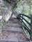東埔彩虹吊橋,瀑布_201119_5.jpg