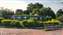IMG_20200810_083029148_MP.jpg