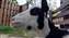 IMG_20200922_155026411.jpg
