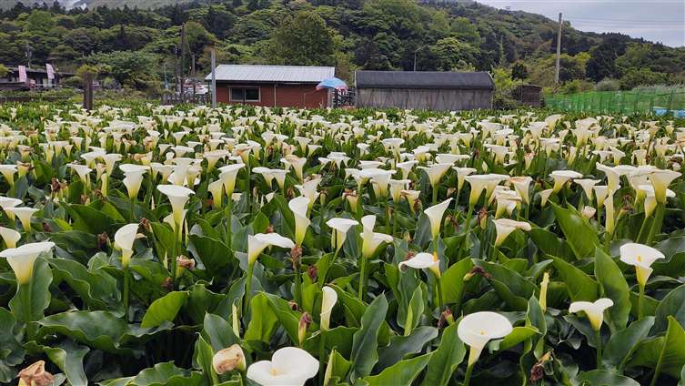 Click to go back