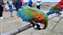 IMG_20210415_155505544.jpg