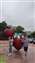 IMG_20210425_142306578.jpg