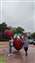IMG_20210425_142309727.jpg