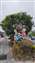 IMG_20210425_144755424.jpg
