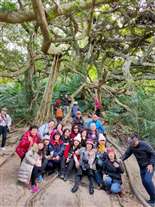 Click for large image