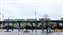 IMG_20210302_115233783~2.jpg