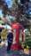 IMG_20211204_101843724.jpg