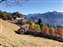 LINE_ALBUM_2021124_211206_1.jpg