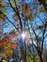 LINE_ALBUM_2021124_211206_10.jpg