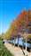 LINE_ALBUM_2021126_211206_0.jpg