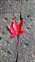 LINE_ALBUM_2021126_211206_3.jpg