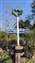 IMG_20211213_143808186.jpg