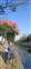 LINE_ALBUM_鹿嵩茶香美拍_211101_2.jpg
