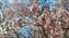 IMG_20220210_143556414_MP.jpg