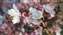 IMG_20220210_143614854_MP.jpg