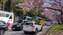 IMG_20220210_145713463_MP.jpg