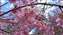 line_888031874101545.jpg