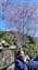 IMG_20220227_113816224_BURST001.jpg