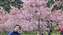 IMG_20220303_083636875_BURST000_COVER_TOP.jpg