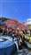 LINE_ALBUM_032_21.3.4福壽山千櫻園櫻花季_220305.jpg