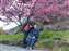 LINE_ALBUM_032_27.3.4福壽山千櫻園櫻花季_220305.jpg
