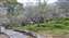 IMG_20220121_092349585.jpg