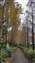 IMG_20220121_132728356.jpg